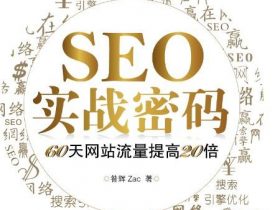 seo每日一贴