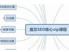 魔贝seo课程第十期基础班快速入门课程加高级课程